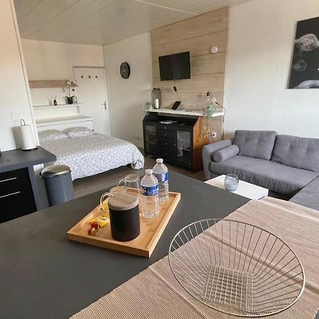 Studio Cocooning Hauteur De Saint-Raphael #2 Dış mekan fotoğraf