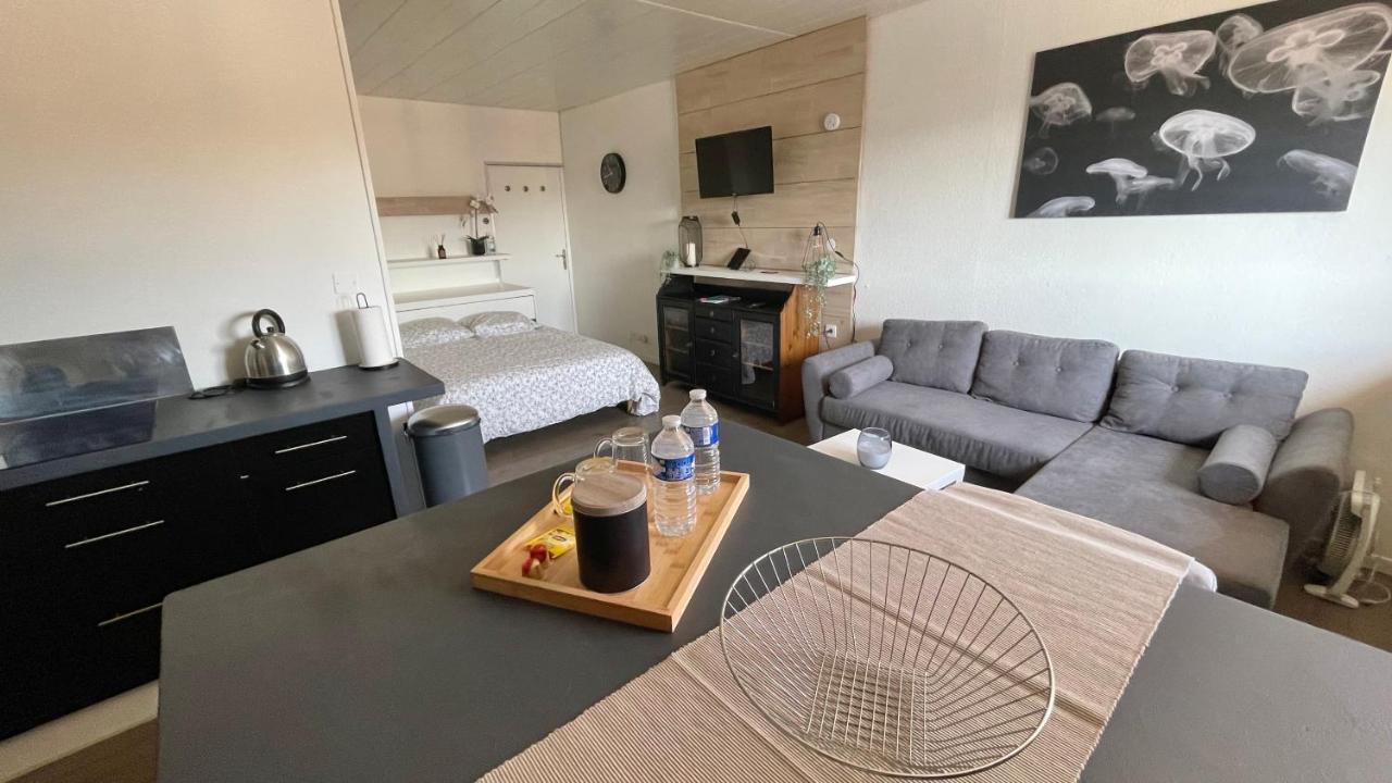 Studio Cocooning Hauteur De Saint-Raphael #2 Dış mekan fotoğraf