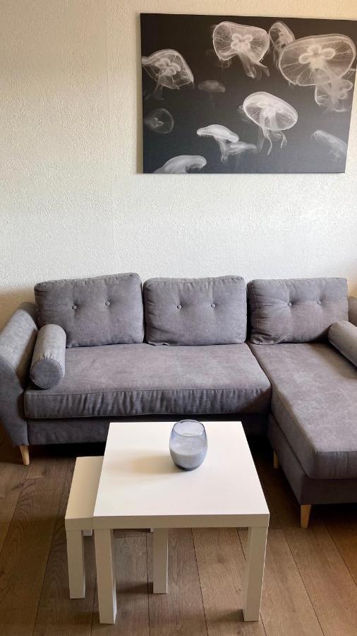 Studio Cocooning Hauteur De Saint-Raphael #2 Dış mekan fotoğraf